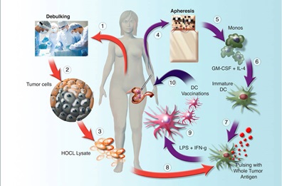 illustration of whole tumor antigen cell study